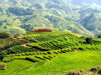 Vẻ đẹp hoang sơ đến ngỡ ngàng của Hà Giang