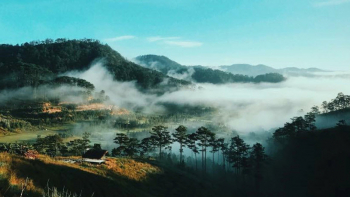 Cẩm nang du lịch Đà Lạt từ A đến Z