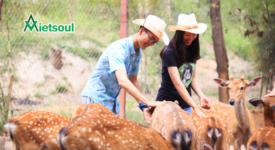 tour du lịch đảo Hoa Lan Nha Trang