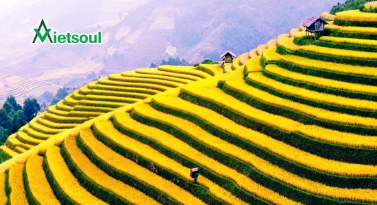 Thời điểm du lịch Sapa 2 ngày 1 đêm lý tưởng