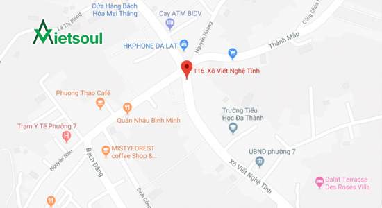 116 đường Xô Viết Nghệ Tĩnh, Phường 7, TP. Đà Lạt.