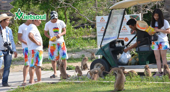 Tour du lịch đảo khỉ nha trang