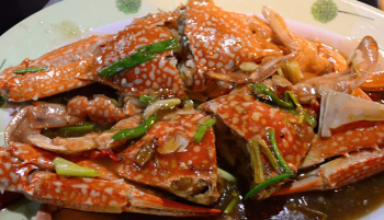 Khám phá các món ăn đặc sản của Cửa Lò Nghệ An