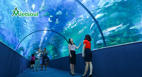 Viện Hải Dương Học