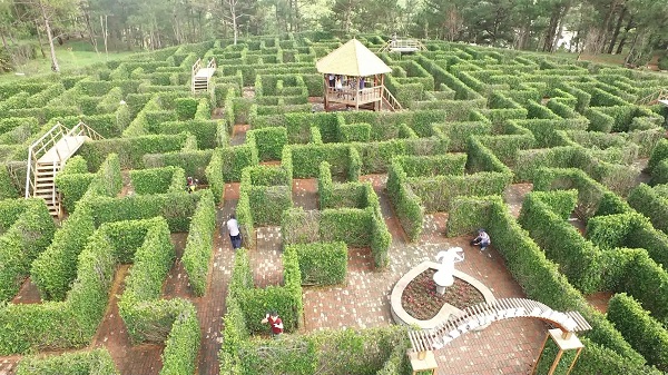 mê cung thung lũng tình yêu