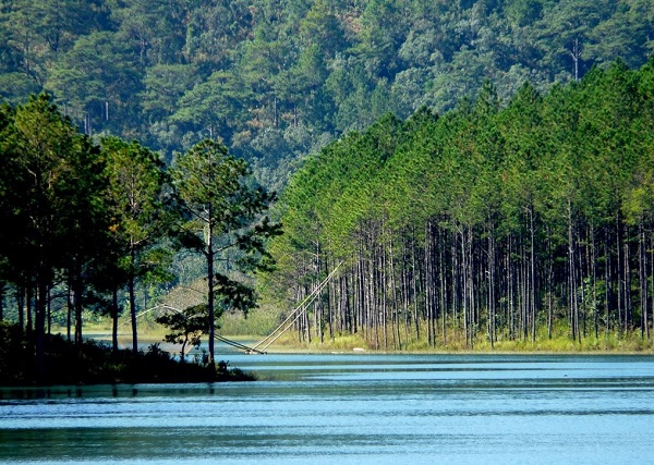 phong cảnh hồ tuyền lâm