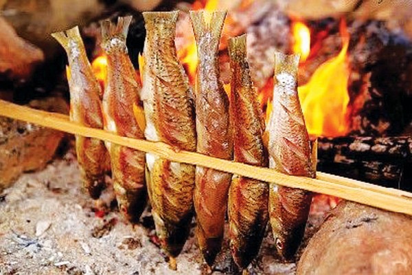 Káº¿t quáº£ hÃ¬nh áº£nh cho cÃ¡ suá»i sapa