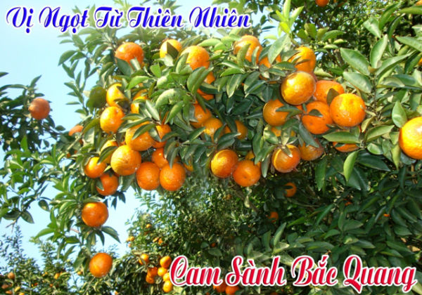 HÃ¬nh áº£nh cÃ³ liÃªn quan