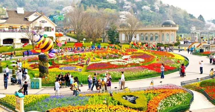 Káº¿t quáº£ hÃ¬nh áº£nh cho cÃ´ng viÃªn everland hÃ n quá»c